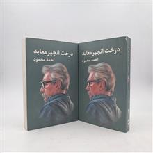درخت
