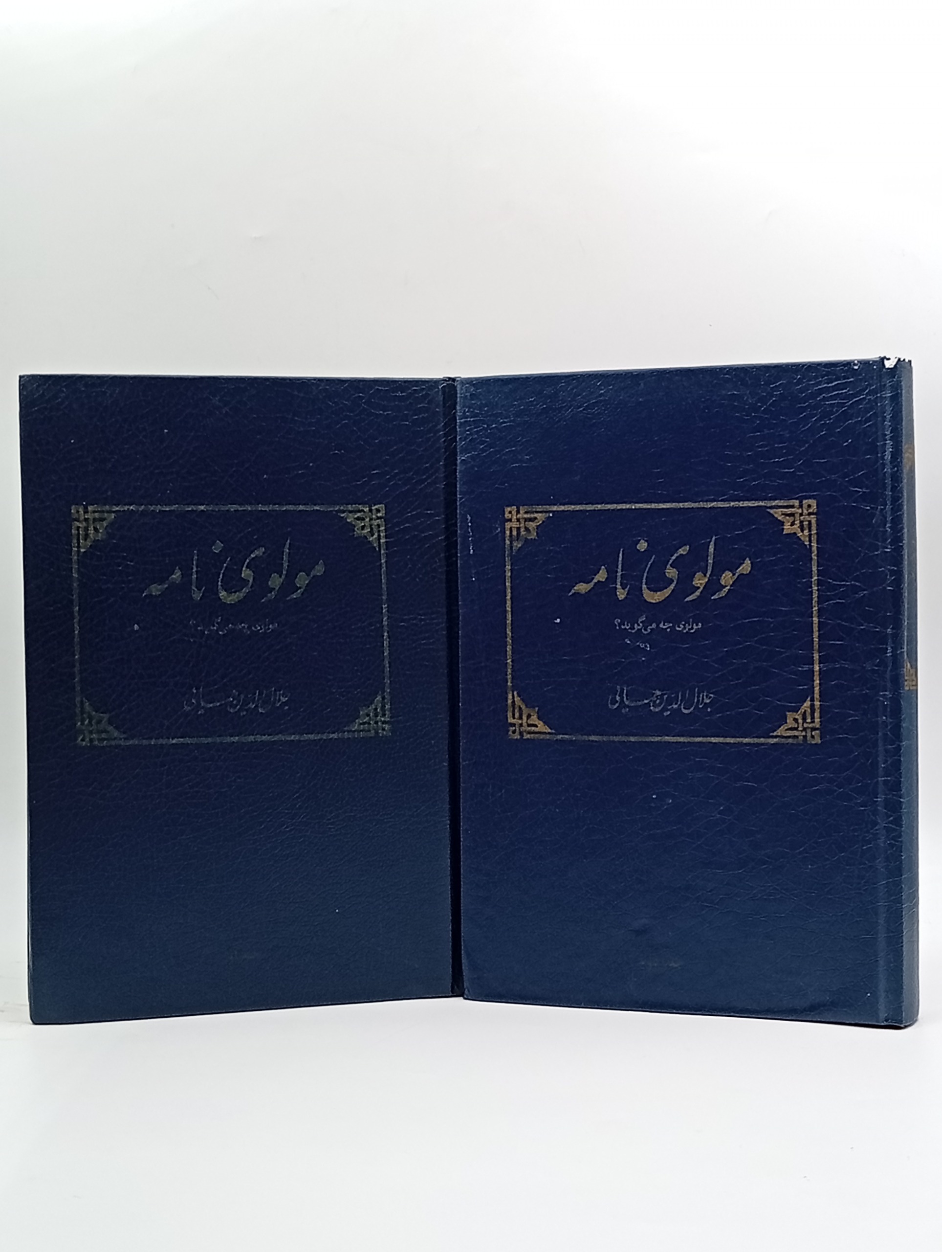 مولوی نامه (جلال الدین همایی)