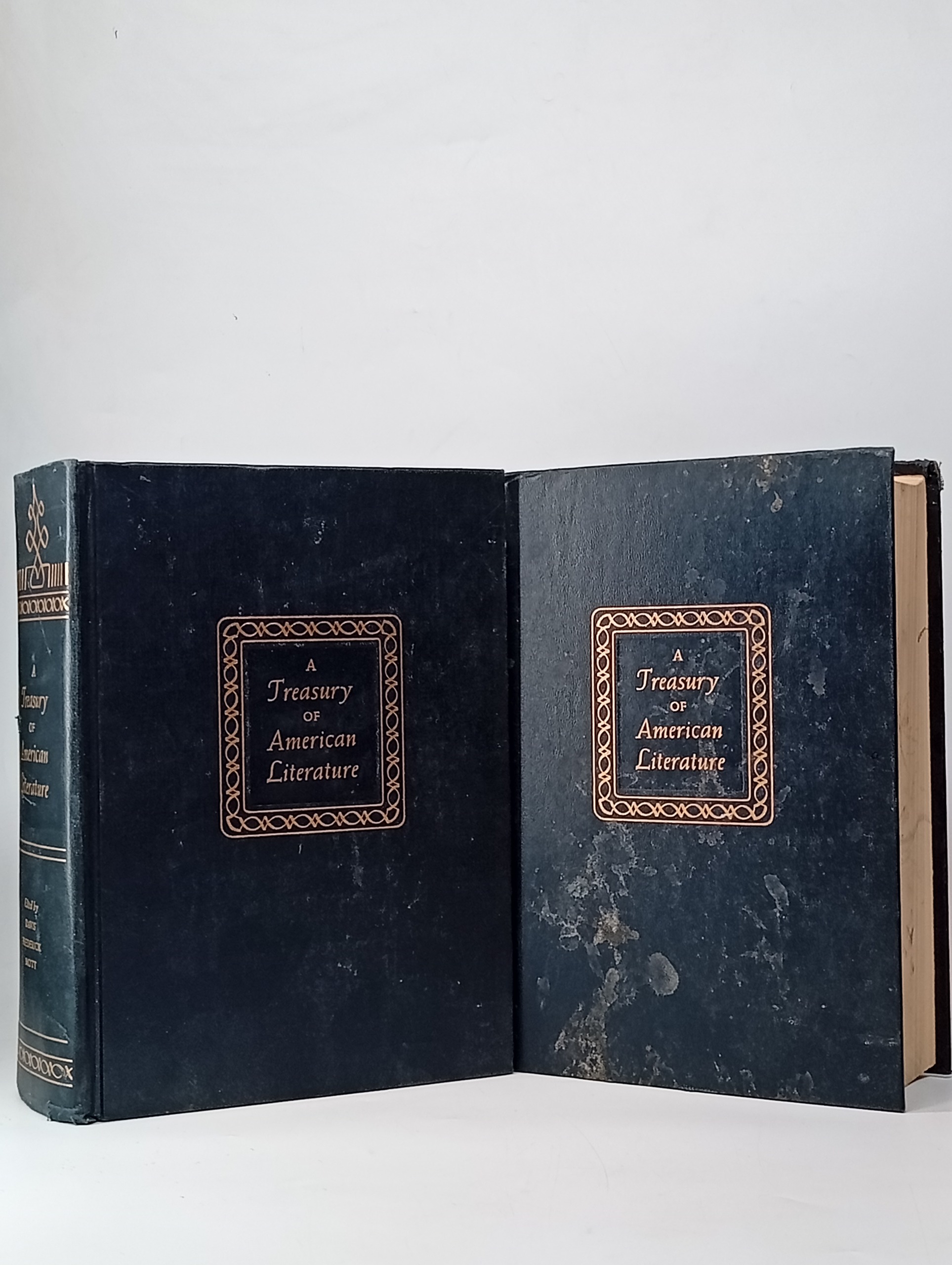 A Treasury American OF Literature