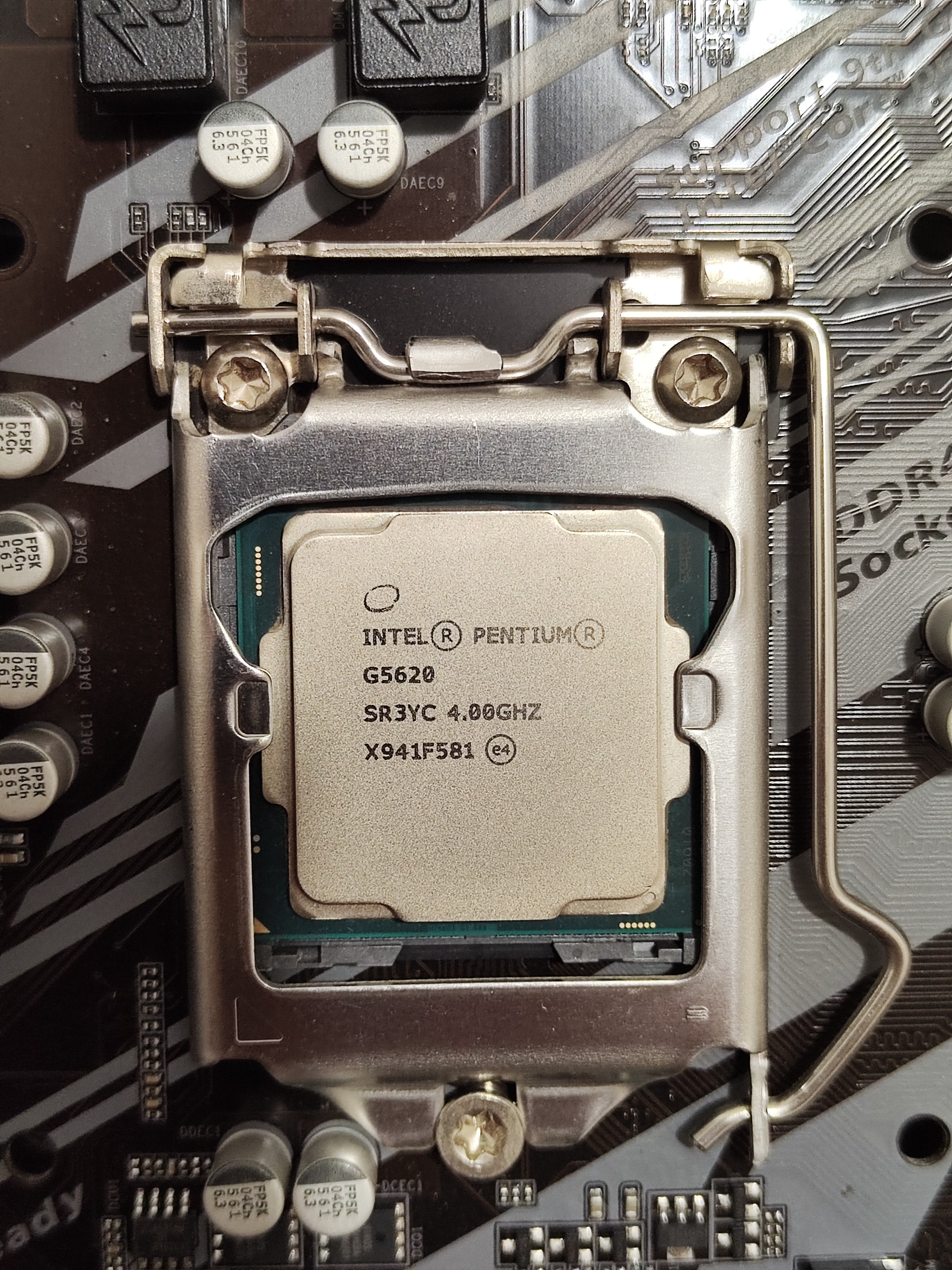 پردازنده اینتل Gold G5620