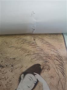 تقویم