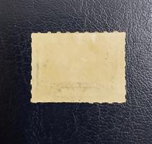 تمبر