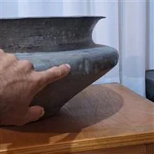 تاس