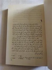 پارتیزان