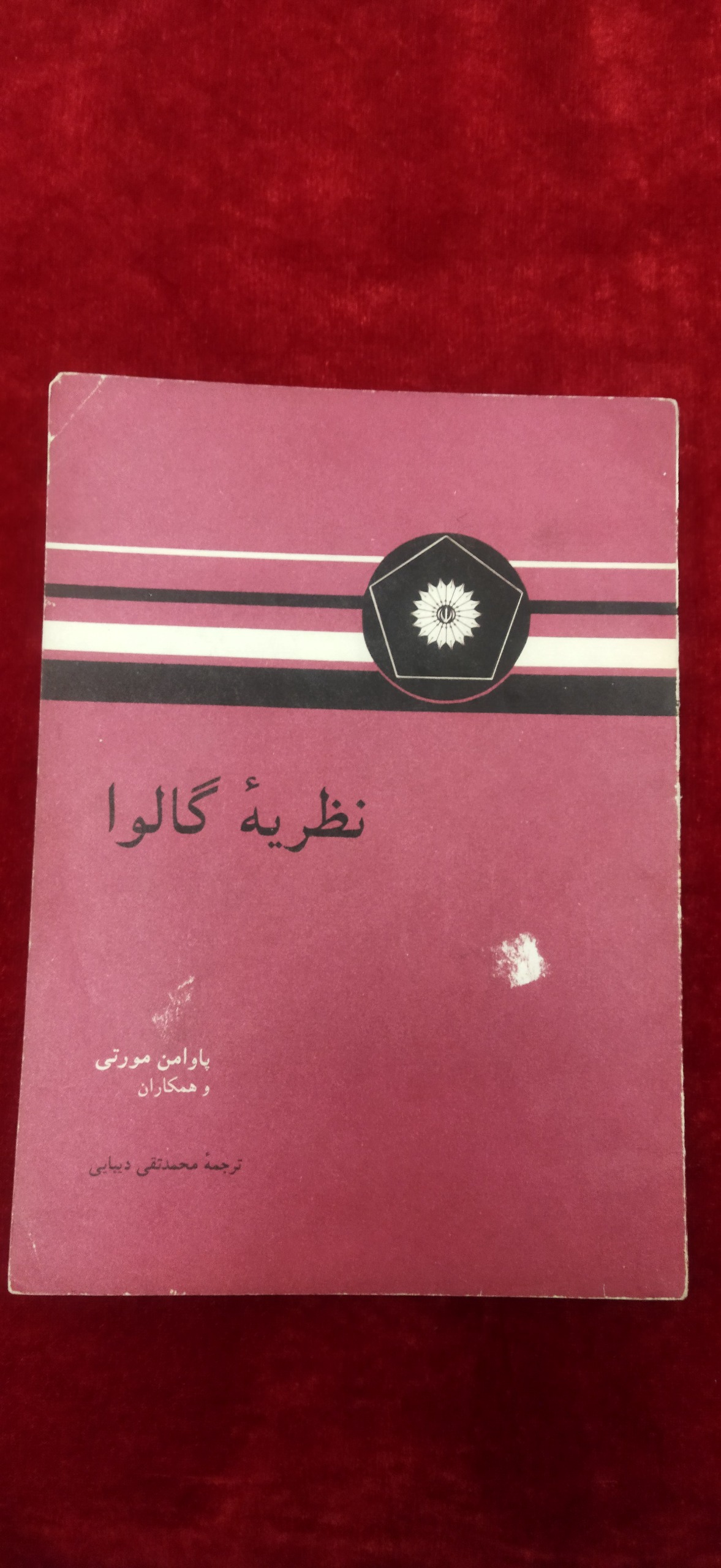 نظریه گالوا محمد تقی دیبایی