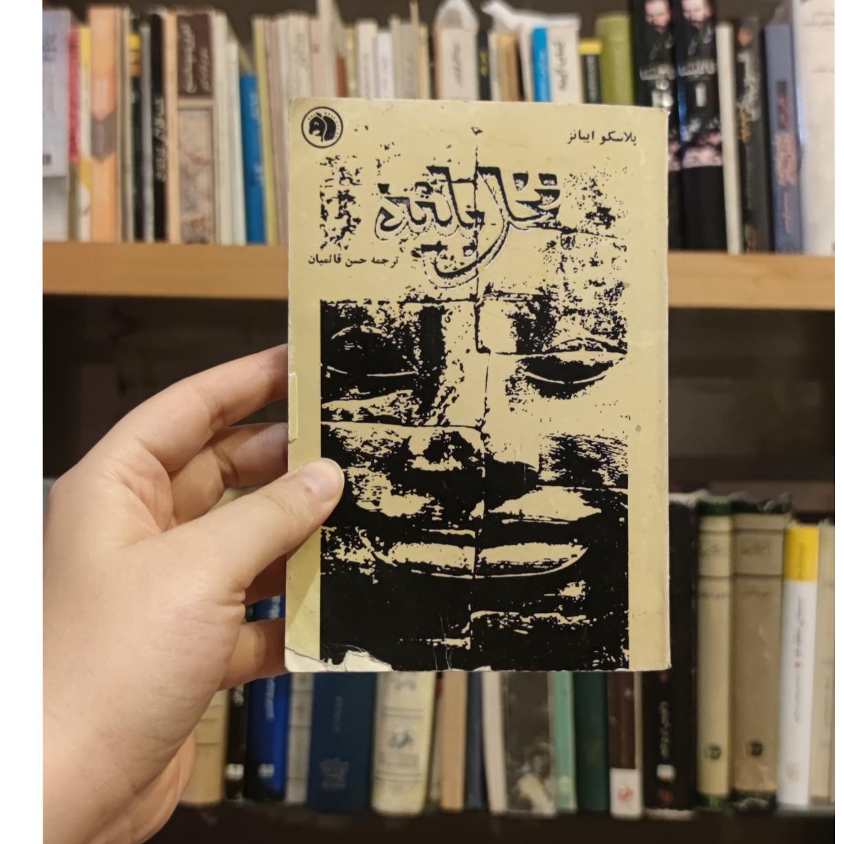 نخل بلند پلاسکو ایبانز