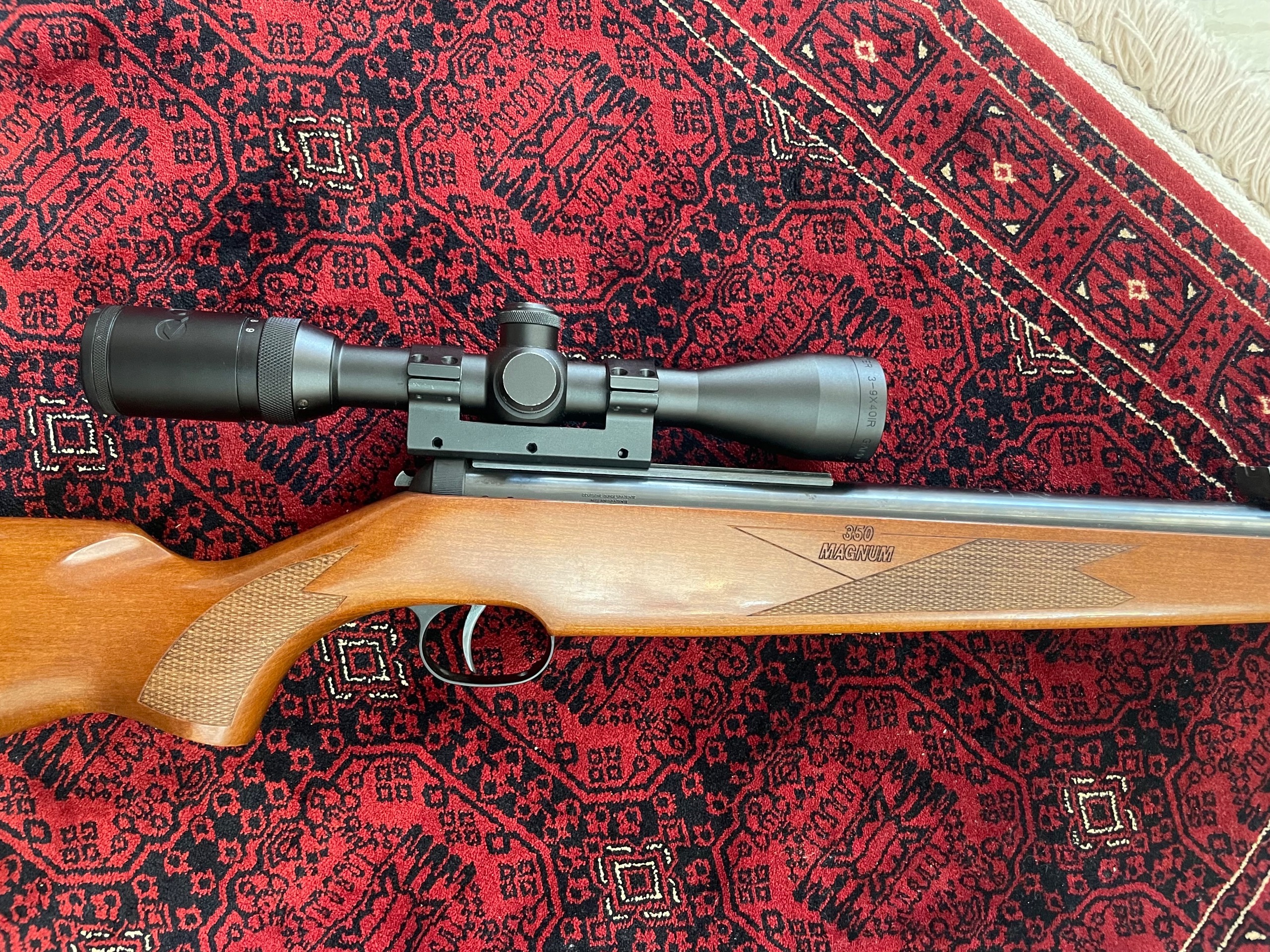 تفنگ دیانا 350 با دوربین