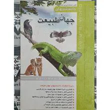 دایره