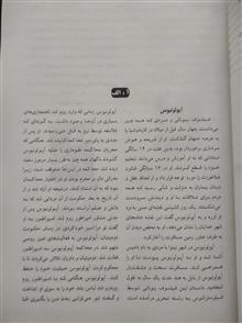 مشاهیر