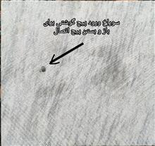 پایه