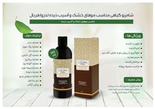 شامپو