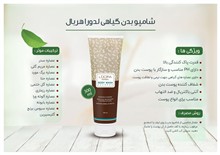 شامپو