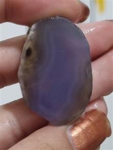 حبه