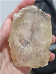 ژیپس