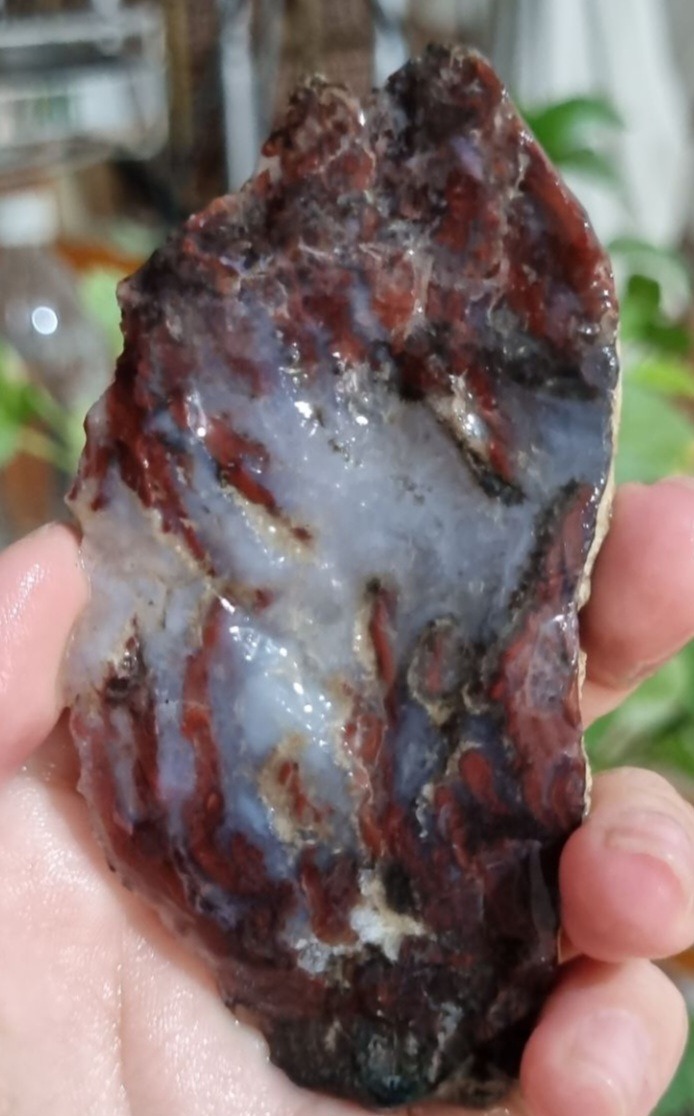 سنگ شجر قیمت19ت وزن62