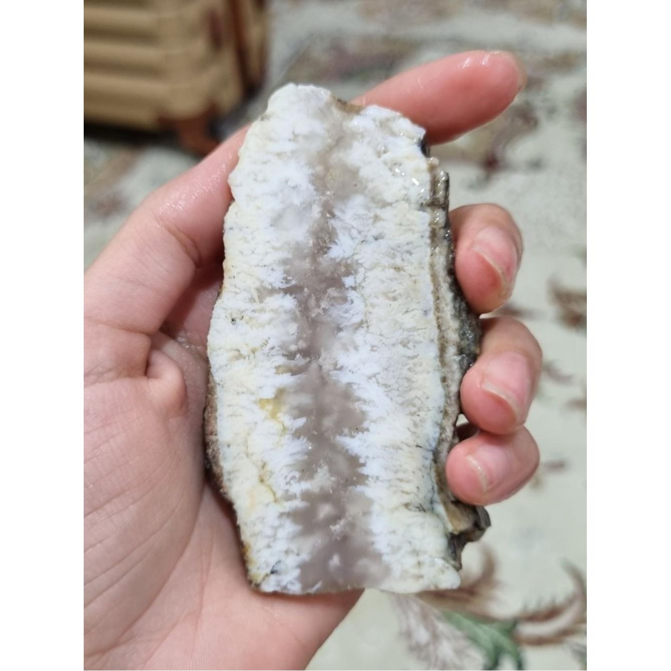 سنگ شجر قیمت48ت وزن100