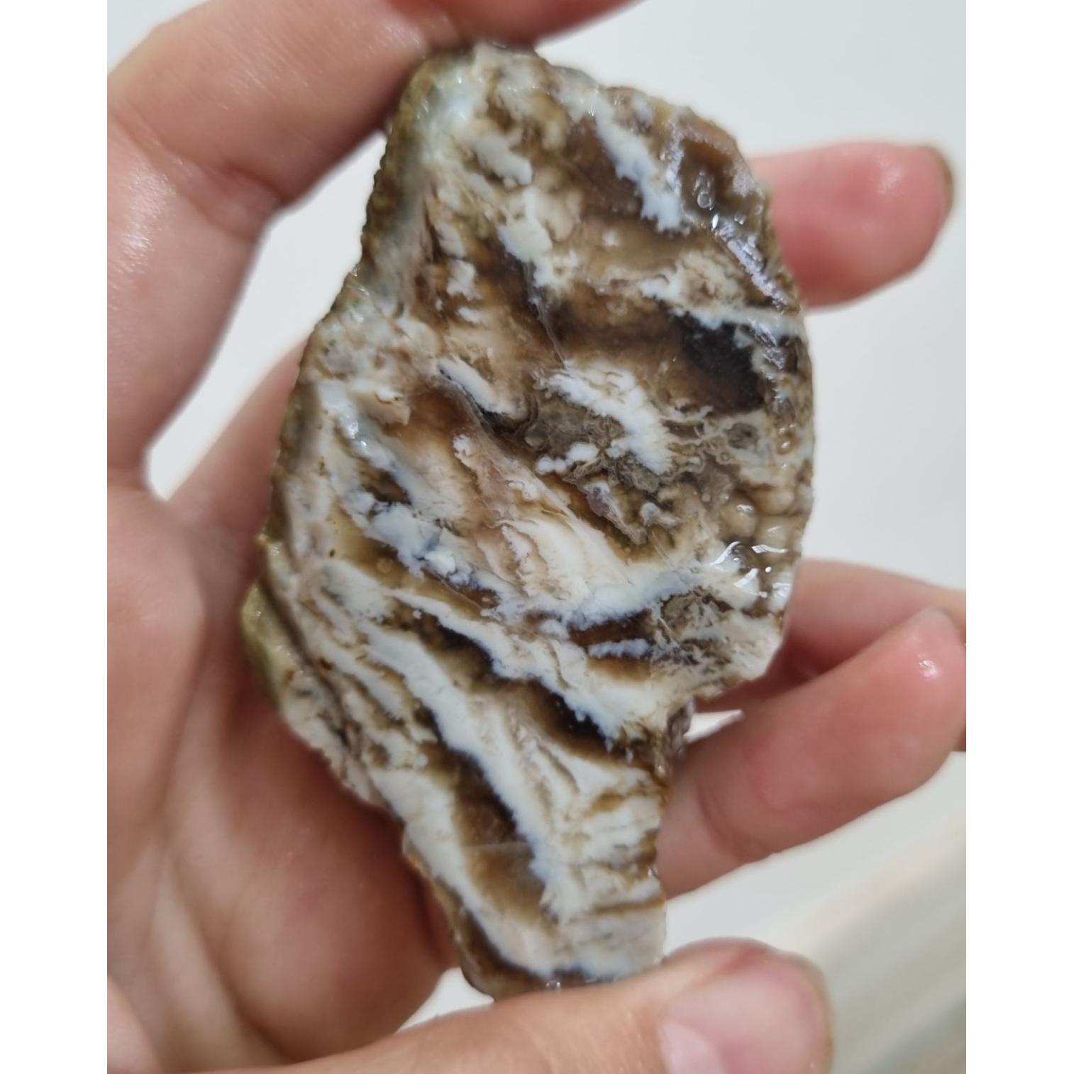 سنگ شجر قیمت28ت وزن72