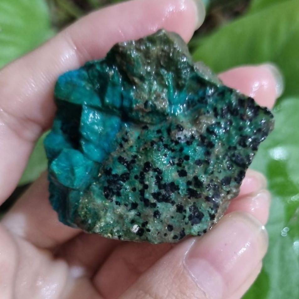 کریزوکولا قیمت52ت وزن39