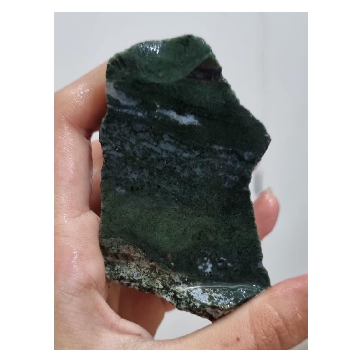 خزه ای سبز قیمت24ت وزن140