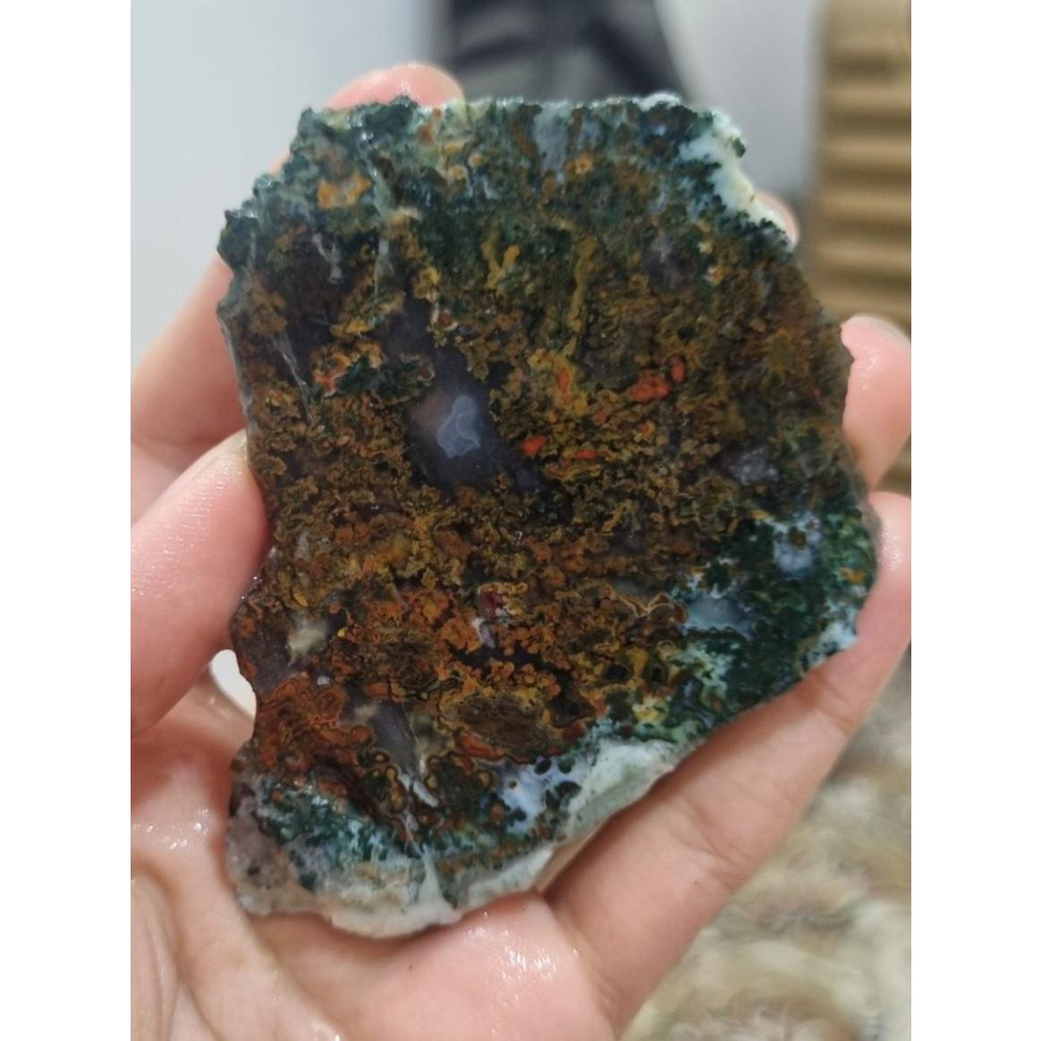 سنگ شجر قیمت59ت وزن98