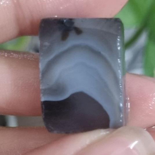 حبه سلیمانی قیمت78ت وزن10