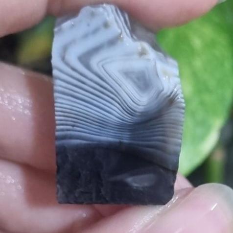 حبه عقیق سلیمانی قیمت24ت وزن10