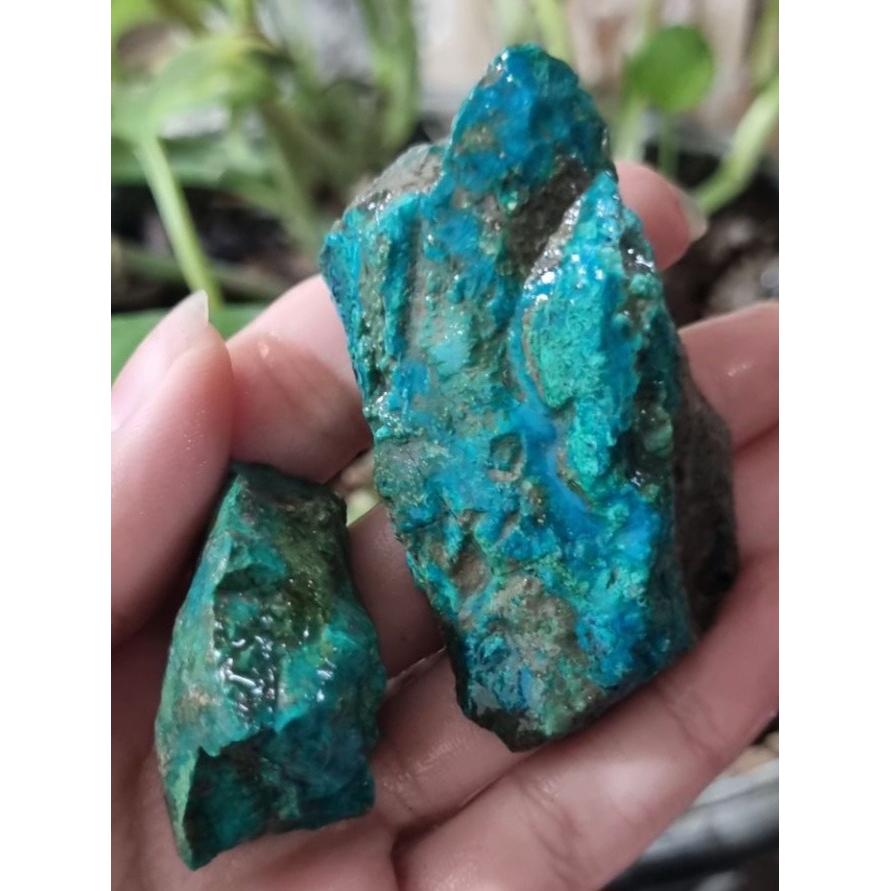 کریزوکولا قیمت69ت وزن57