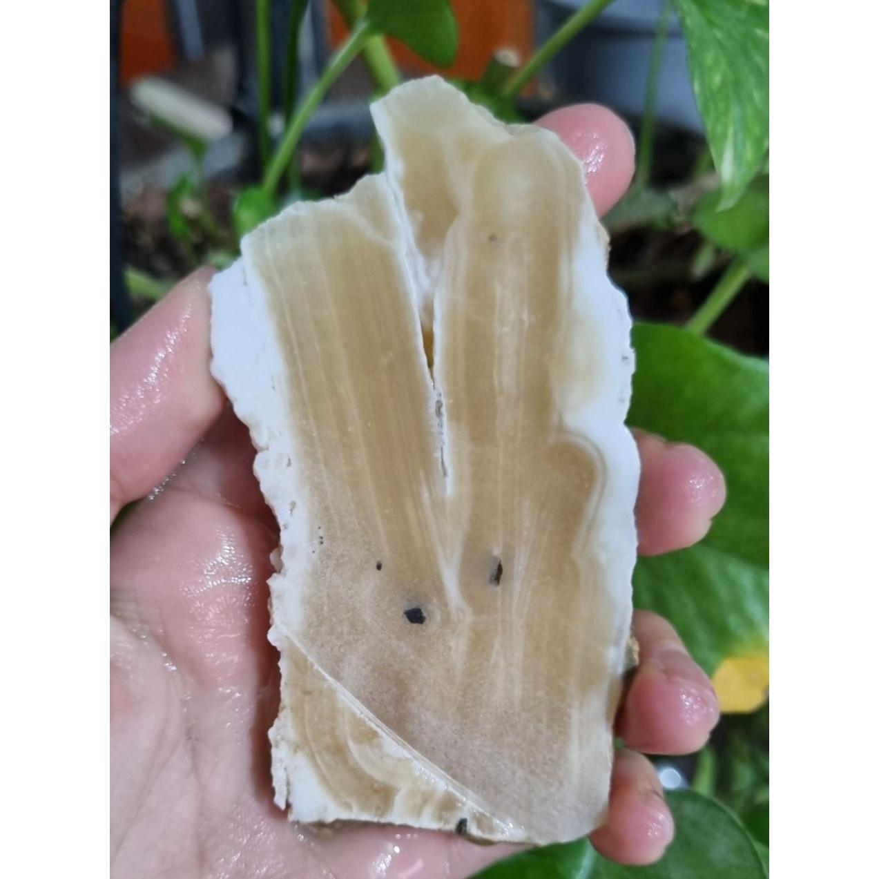 اراگونیت قیمت24ت وزن89