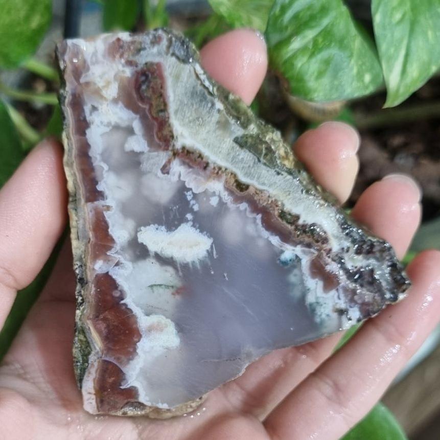 سنگ شجر قیمت28ت وزن106