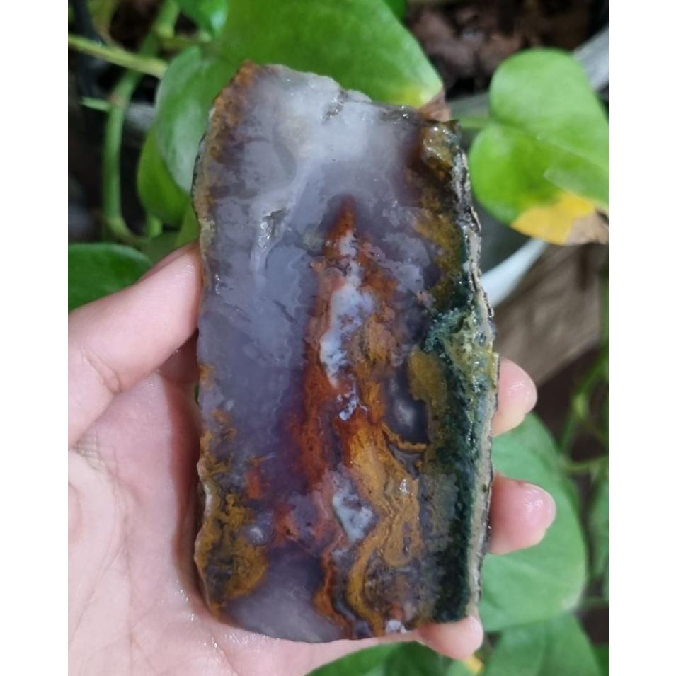 سنگ شجر قیمت42ت وزن144