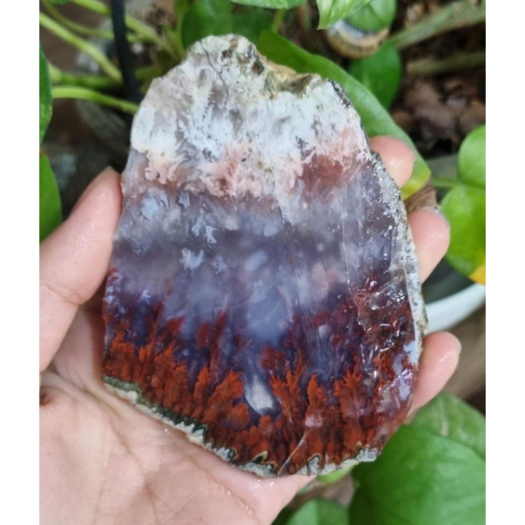 سنگ شجر قیمت62ت وزن134