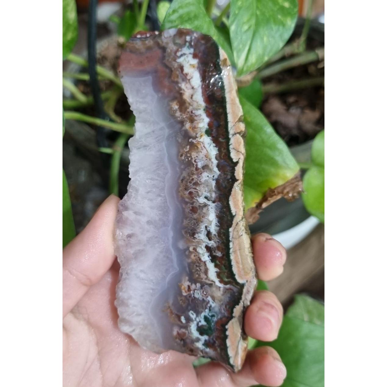 سنگ شجر قیمت29ت وزن109