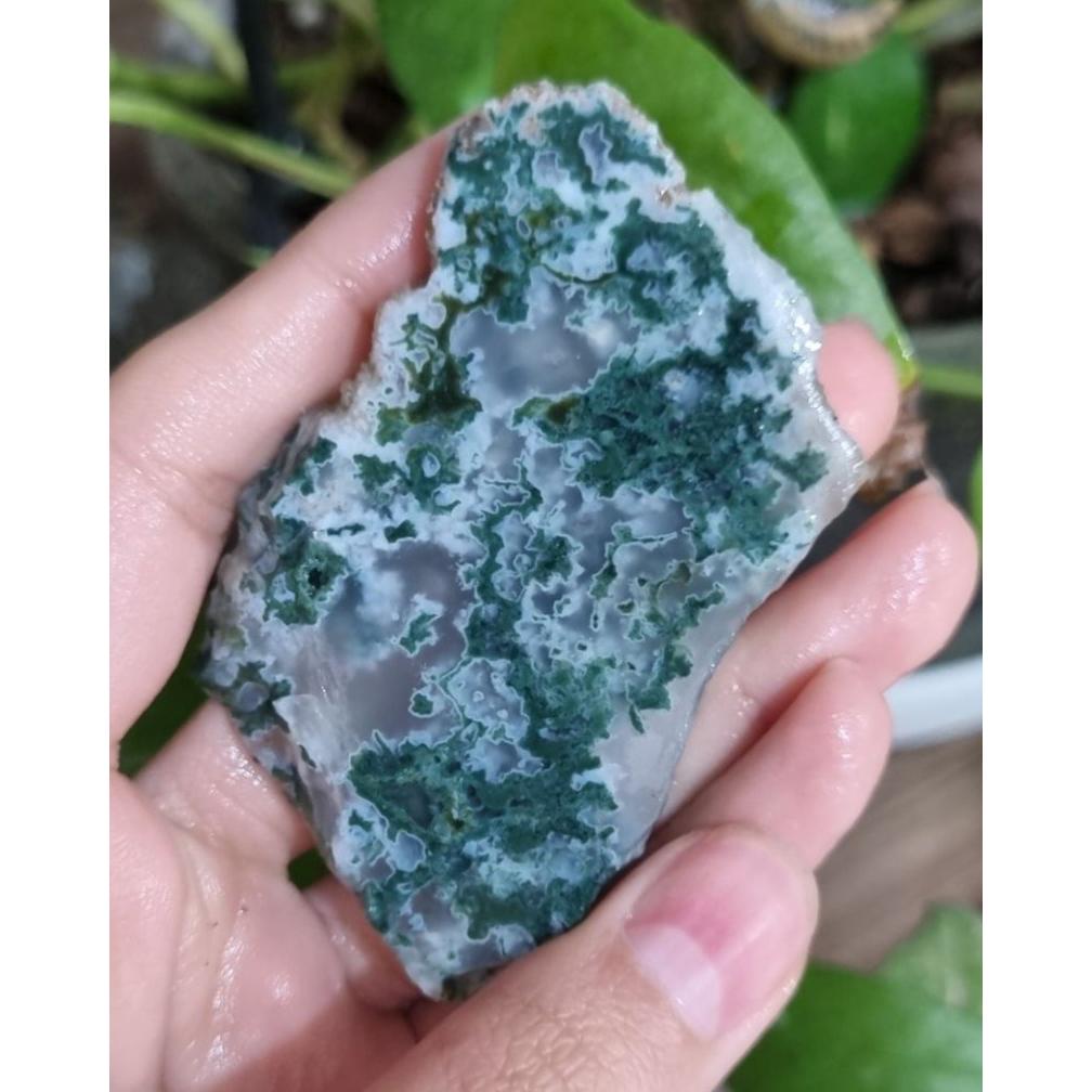 اسلایس شجر خزه قیمت17ت وزن45