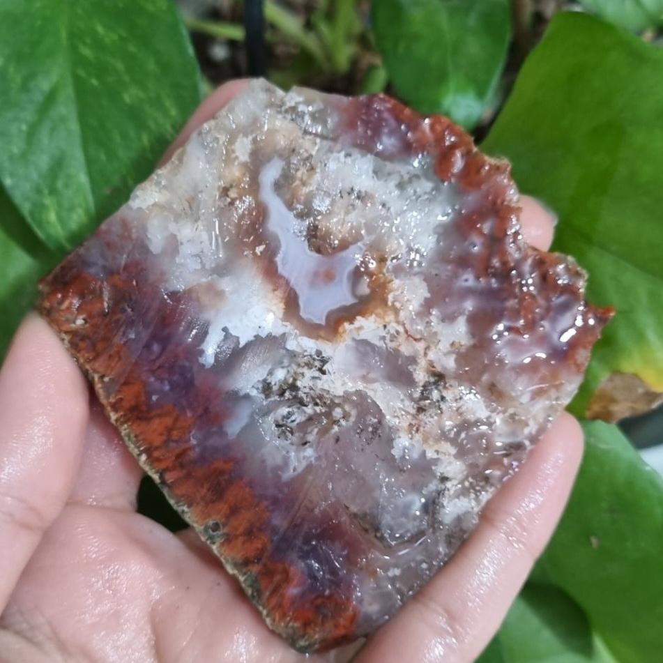 سنگ شجر نازک قیمت19ت وزن55