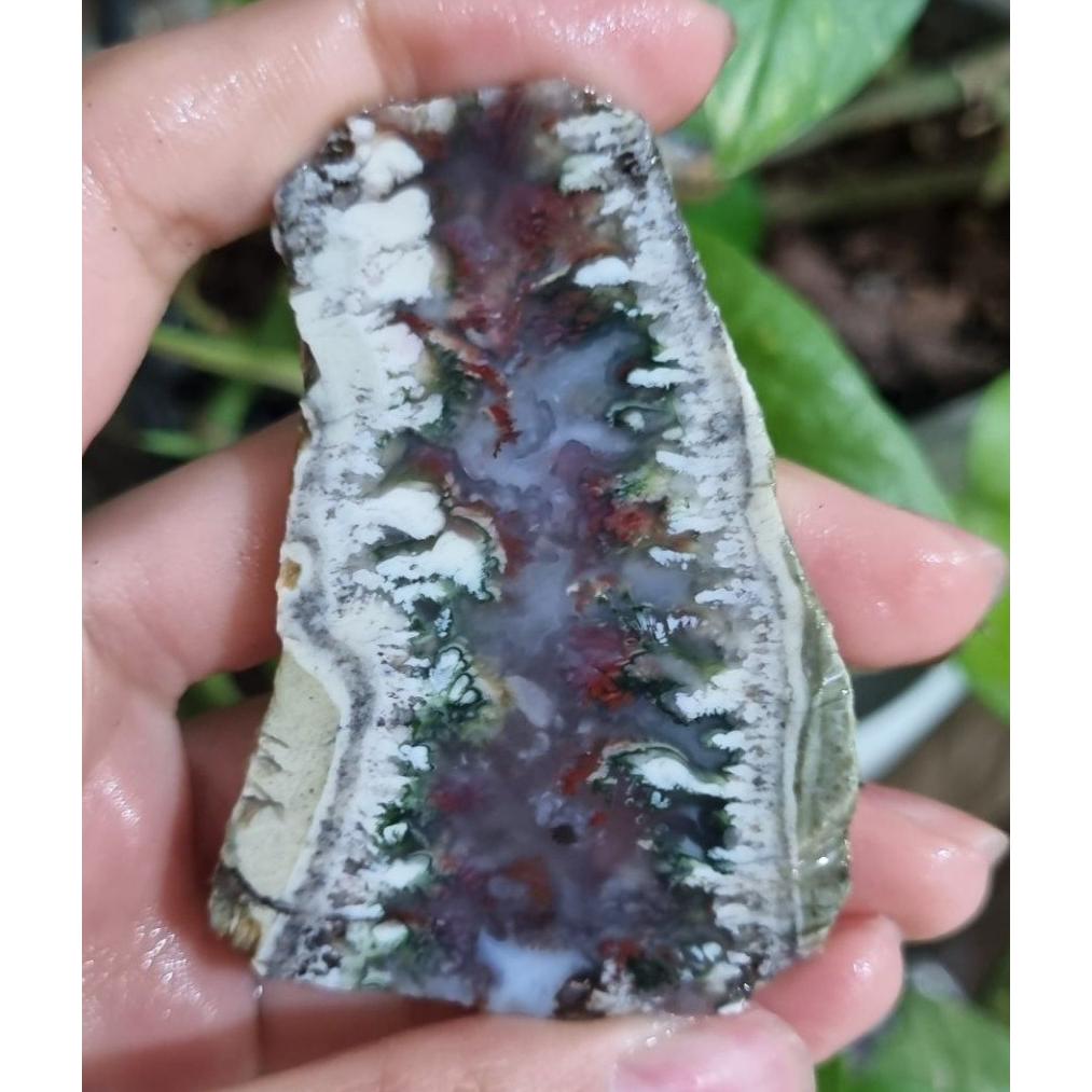 سنگ شجر قیمت48ت وزن37