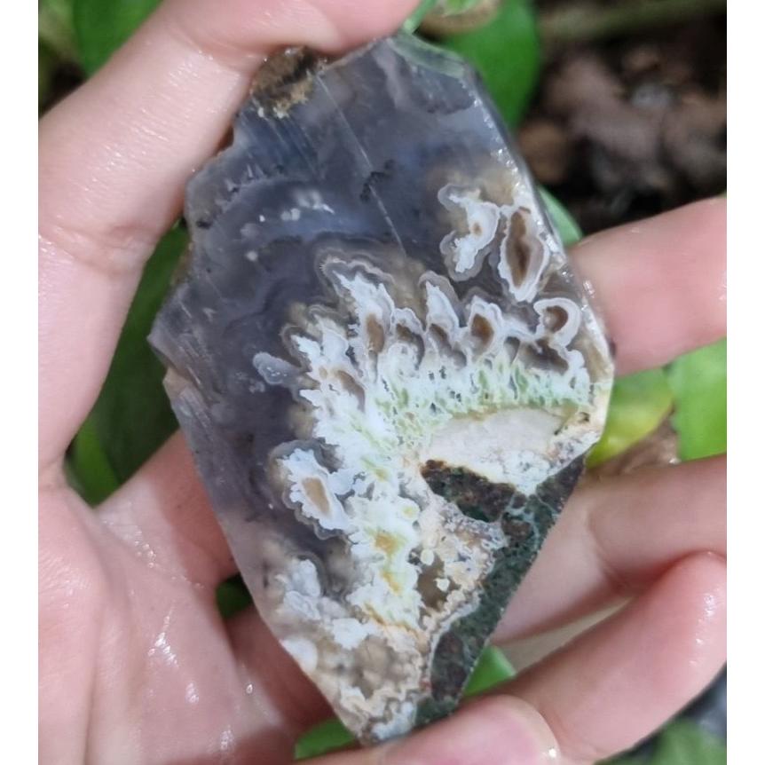 سنگ شجر قیمت39ت وزن46