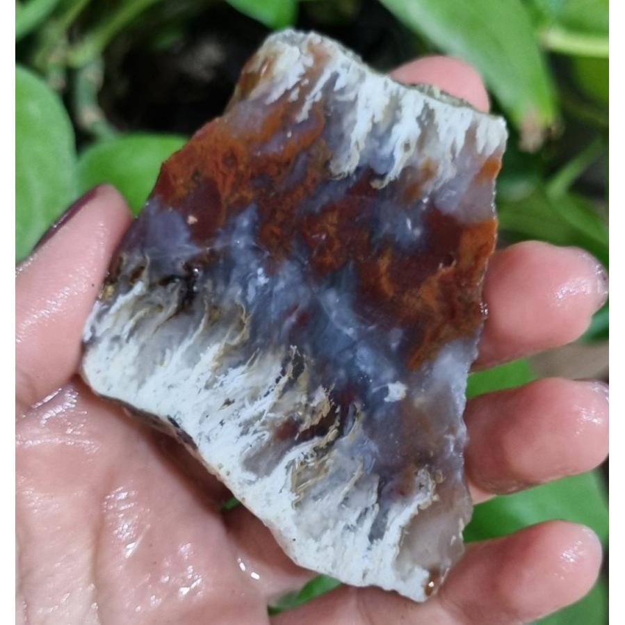 اسلایس شجر به تنوع رنگی بالا خاص قیمت79ت وزن47