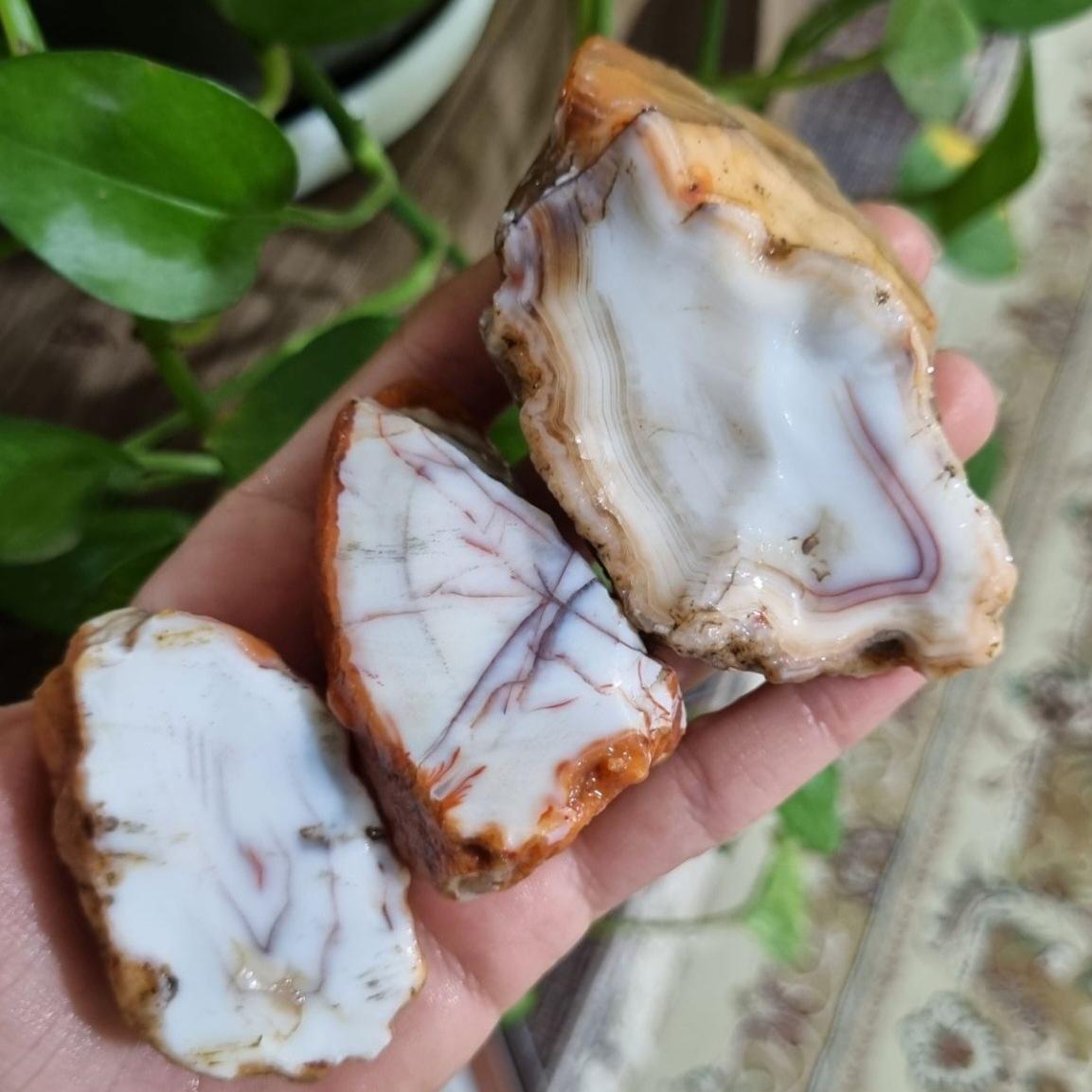 پک عقیق سفید صدفی ناب قیمت135ت وزن280