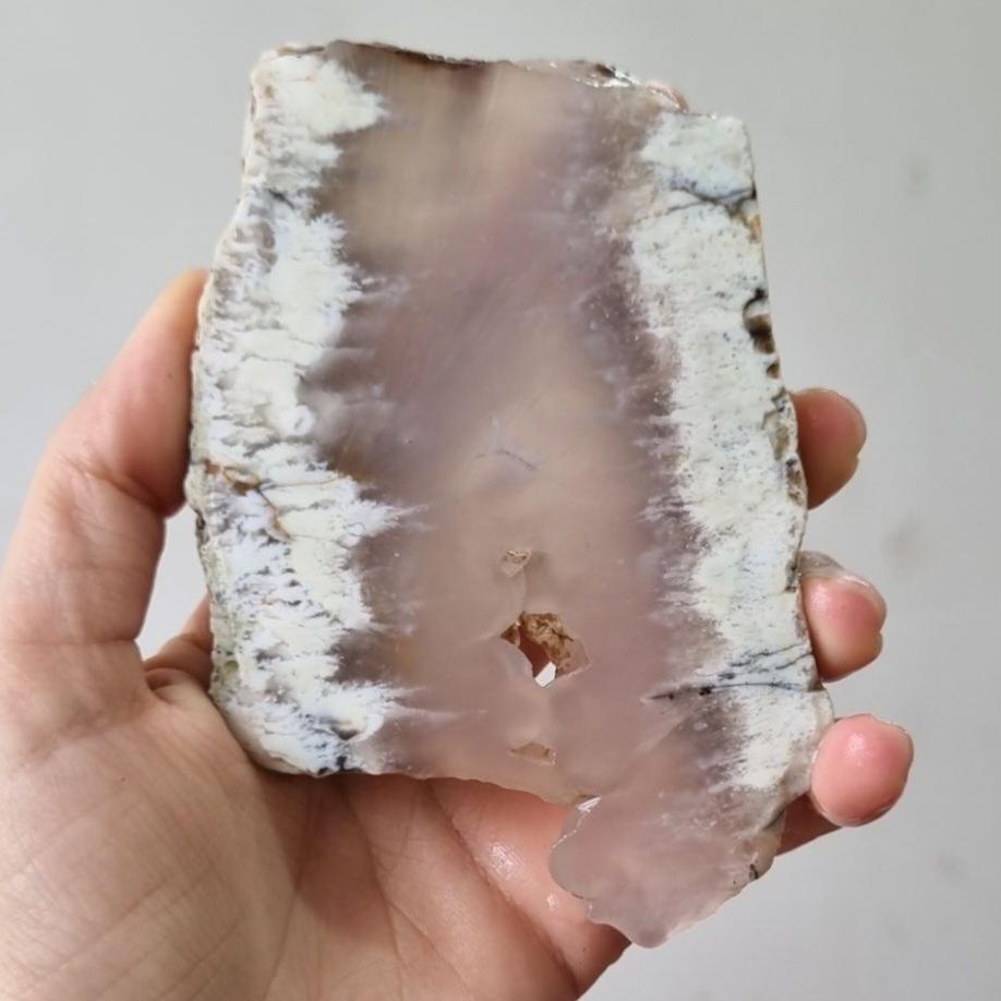 اسلایس شجر قیمت55ت وزن140