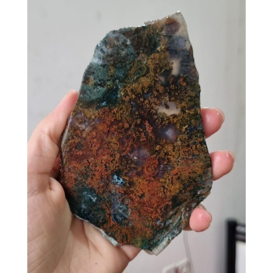 اسلایس شجر قیمت59ت وزن127