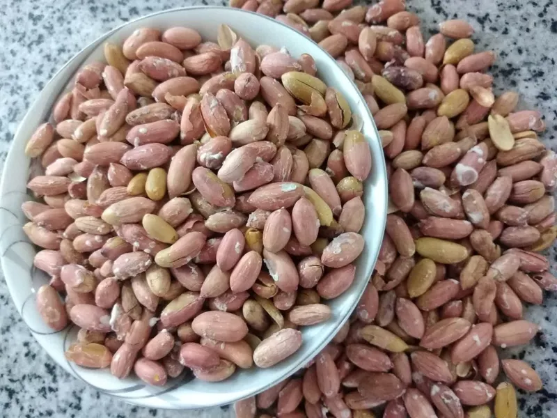 بادام زمینی آستانه اشرفیه