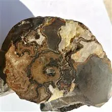اسلایس