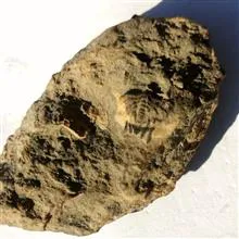 بزرگترین