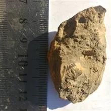 بزرگترین