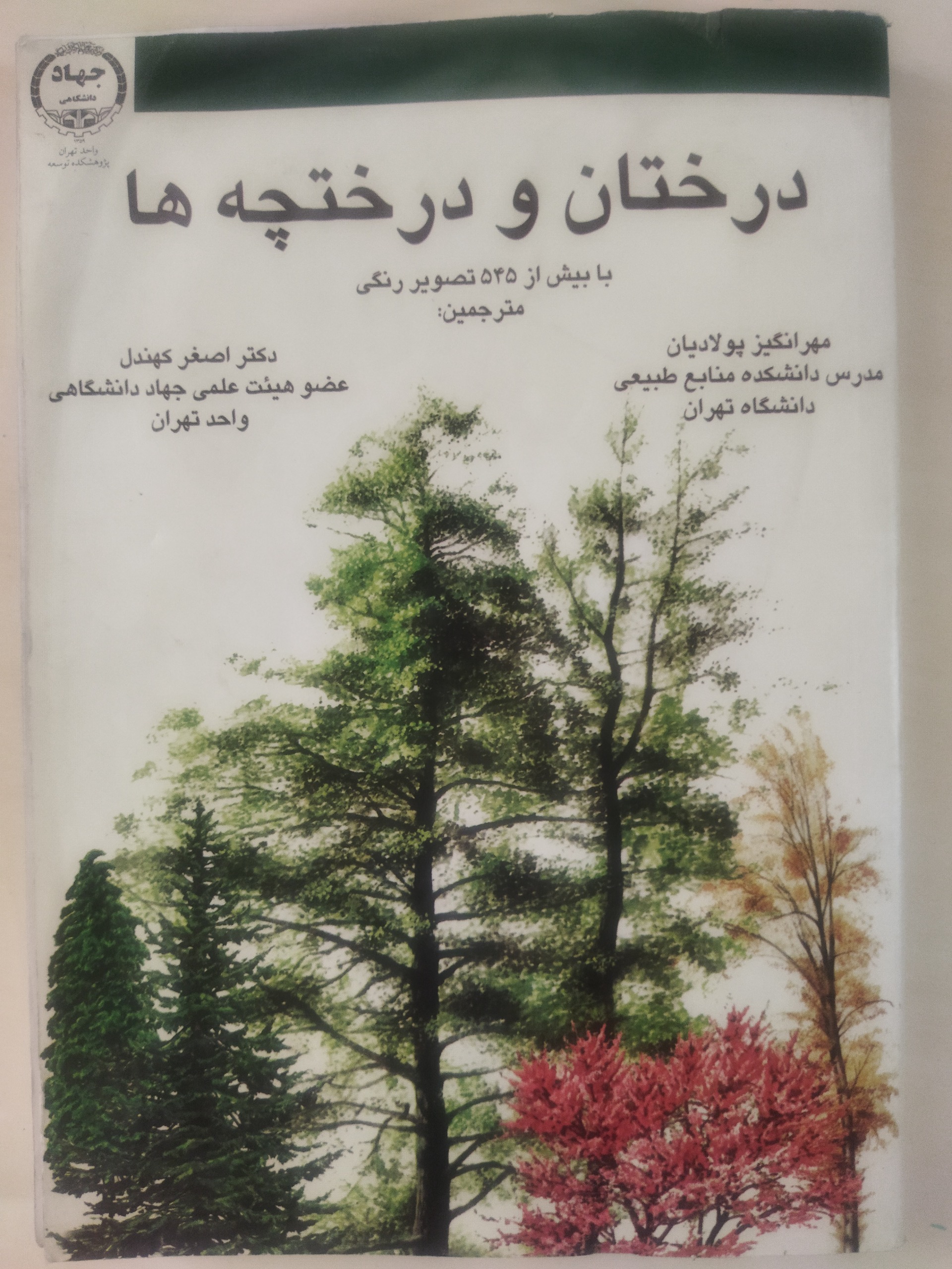 درختان و درختچه ها نایاب