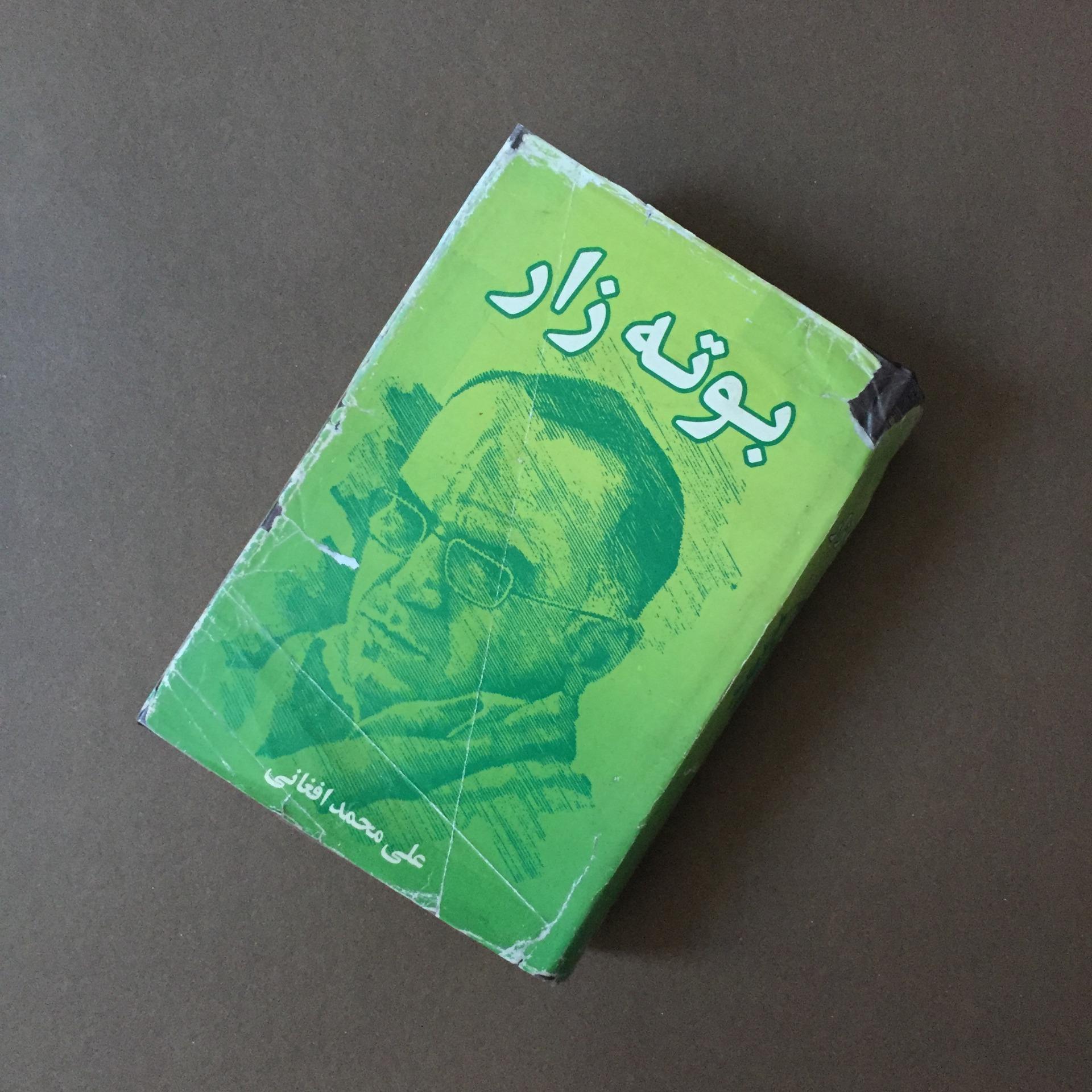بوته زار (علی محمد افغانی)