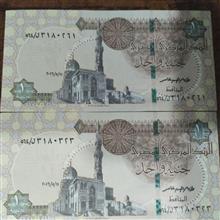 جفت