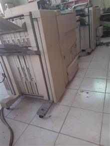 کلیه