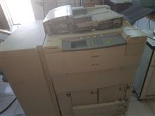 کلیه