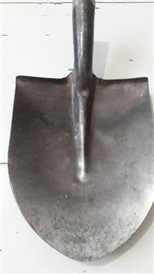 بیل